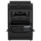 Element Appliance EER244MSCB Element 2.4 Cu. Ft. 24 Electric Range - Black (Eer244Mscb)