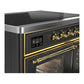 Ilve UMDIB40NR3MGG Ilve Umdib40Nr3Mgg Majestic Iii 40 Inch Induction Range With 6 Elements, 3.82 Cu. Ft. Total Oven Capacity (Triple Glass Door, Graphite Matte, Brass)
