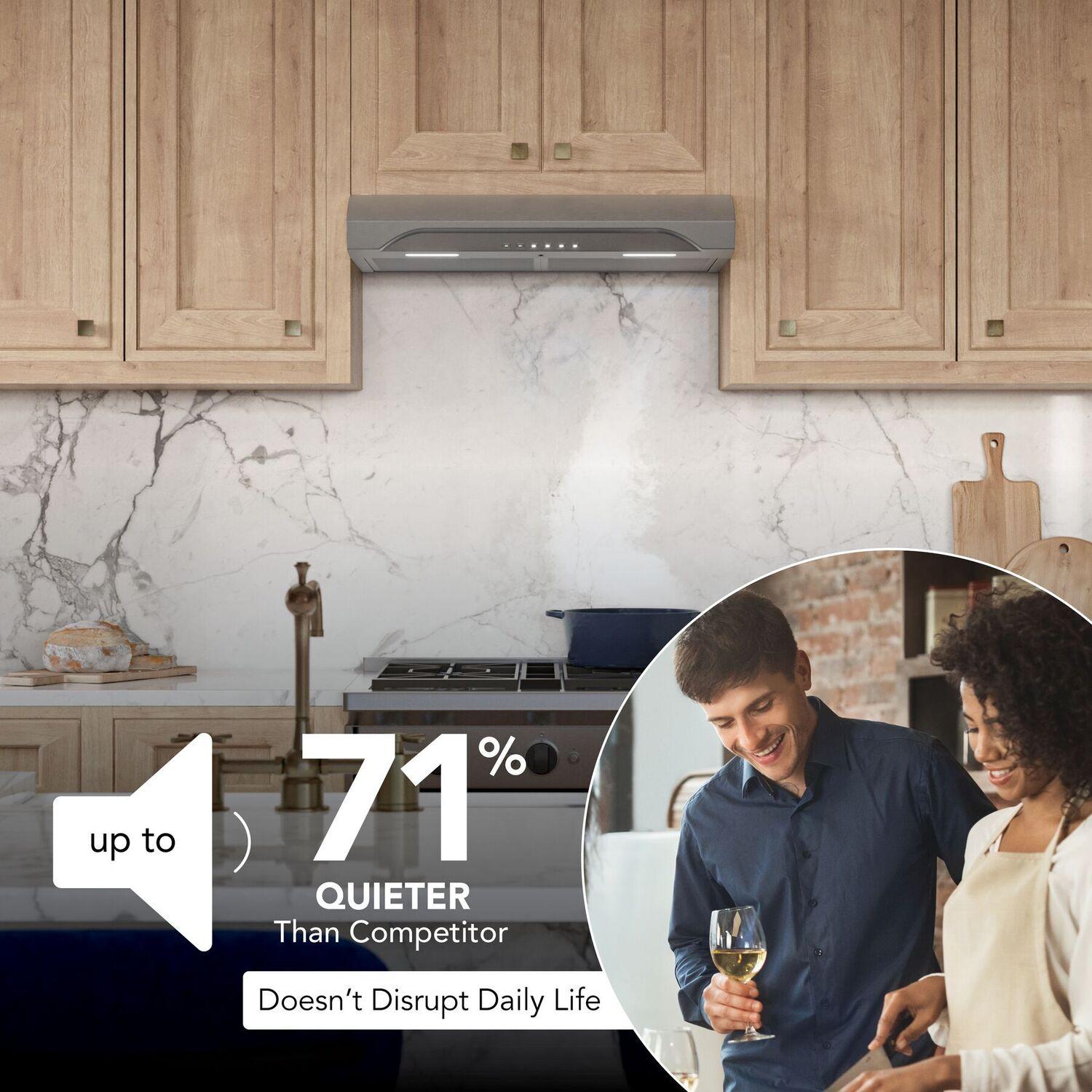 Broan ALT3304SS Alta 30-Inch 490 Max Blower Cfm 1.1 Sones Stainless Steel Range Hood