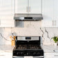 Hauslane UCPS18SS30 Hauslane Chef 30-In Ducted Stainless Steel Undercabinet Range Hood