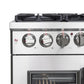 Forno FFSGS632536 Forno Massimo 36