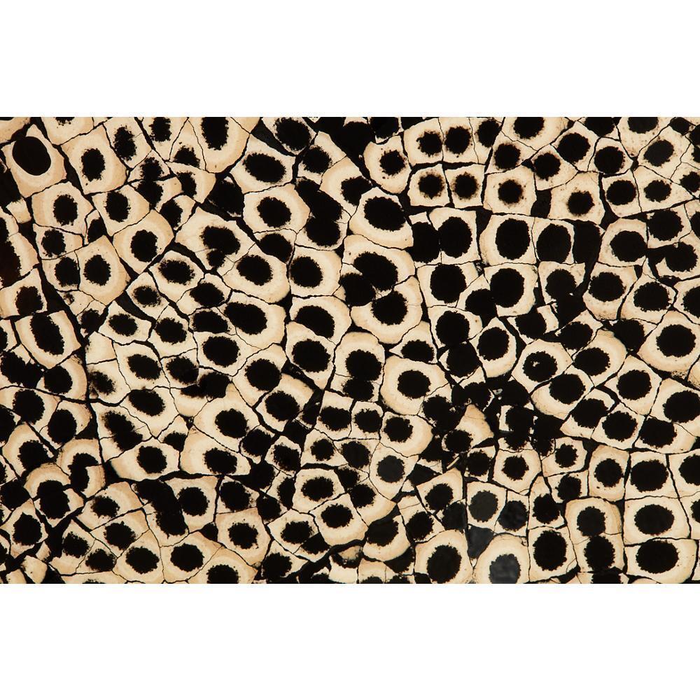 Jennair JBREBLACK24 Eggshell Snakeskin Black By Jennair X Nature Squared 24" Column Panel