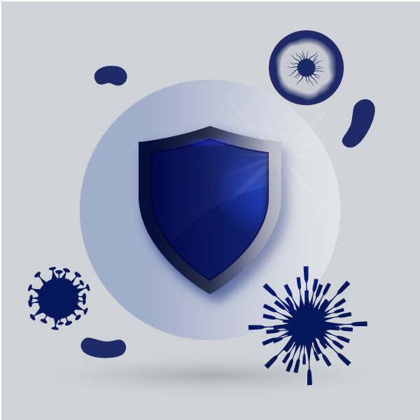 Hauslane WM639SS36 Hauslane Chef 36-In Convertible Stainless Steel Wall-Mounted Range Hood