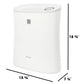 Sharp FPF30UH Sharp True Hepa Air Purifier With Express Clean For Small Rooms