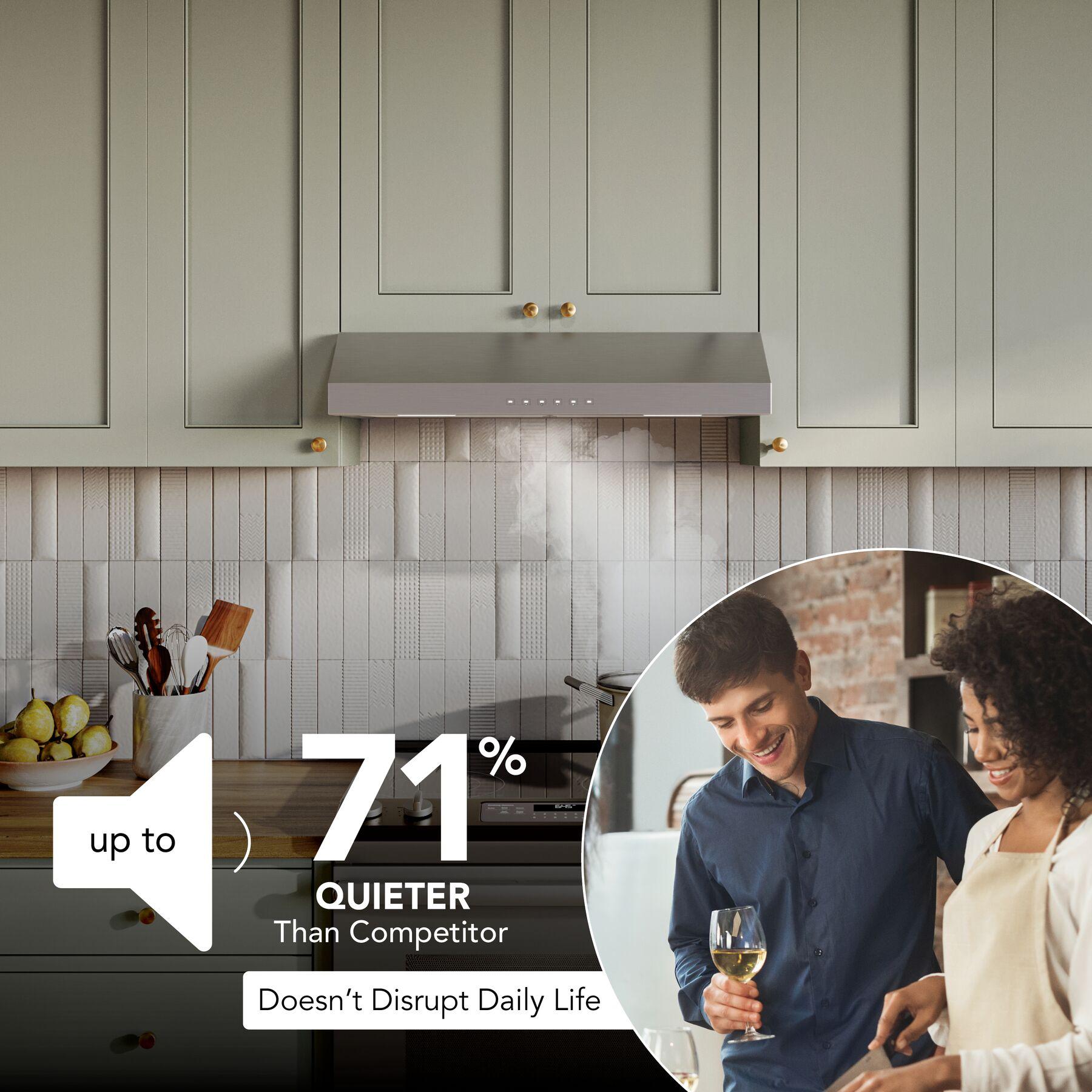 Broan GLA3304SS Glacier 30-Inch 490 Max Blower Cfm 1.1 Sones Stainless Range Hood