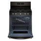 Whirlpool WFGS4530SV 30-Inch Gas Range With Air Cooking Technology And Steam Clean
