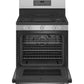 Ge Appliances PGB935YPFS Ge Profile™ Smart 30