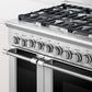 Fisher & Paykel RDV2488LN Dual Fuel Range, 48