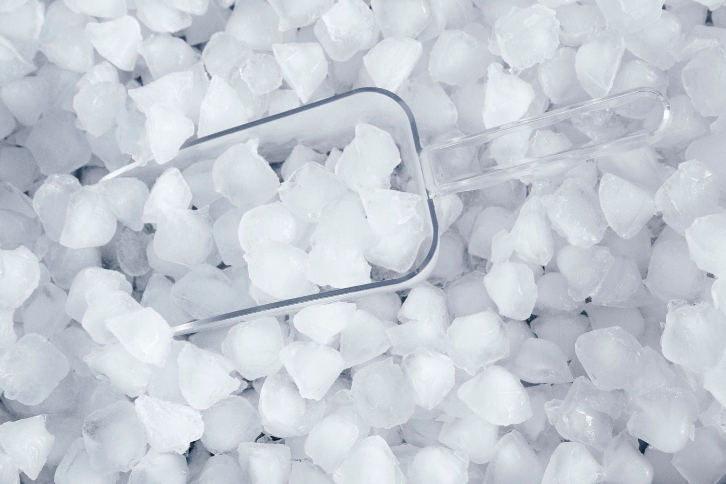 Thermador T18IF905SP Built-In Freezer