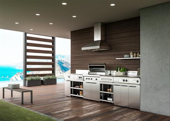 Best Range Hoods WTD9M48SB Wtd9M - 48-Inch Stainless Steel Outdoor Chimney Range Hood, 1300 Max Cfm Blower Sold Separately