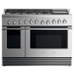 Fisher & Paykel RGV2486GDLN Gas Range, 48