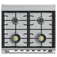 Fisher & Paykel OR30SCG6R1 Dual Fuel Range, 30