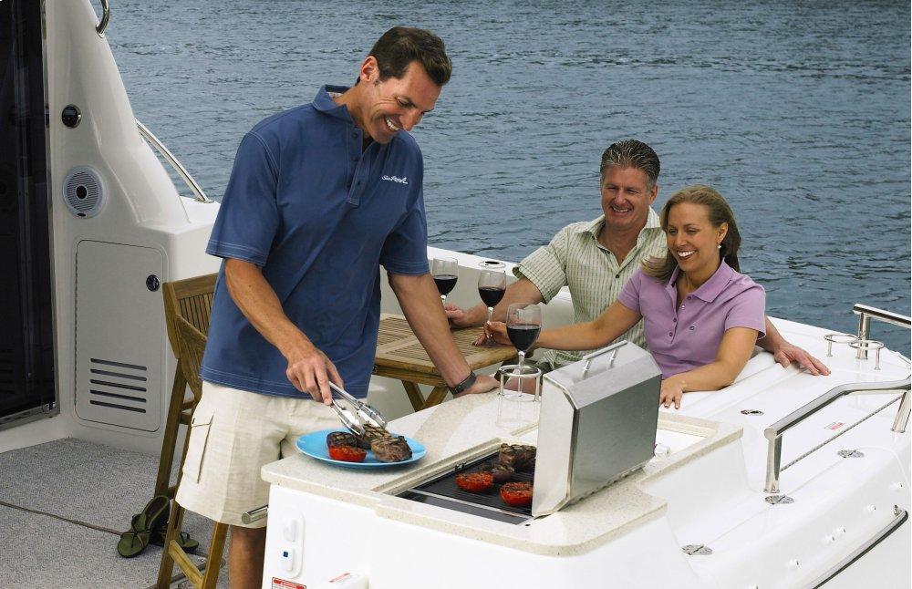 Kenyon B70750 Vdc 48V Built-In Grill