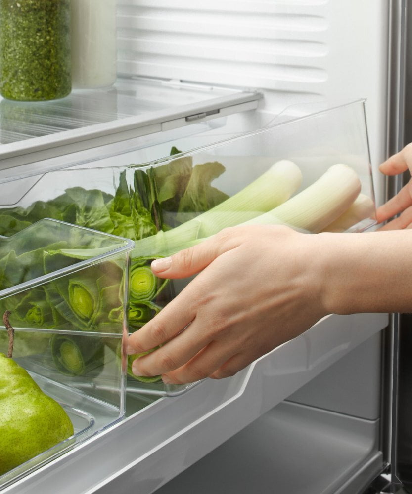 Fisher & Paykel RF201ACUSX1N Freestanding French Door Refrigerator Freezer, 36", 20.1 Cu Ft, Ice & Water