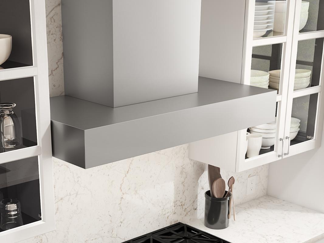 Zephyr ZRPE48BS 48" Roma Pro Wall