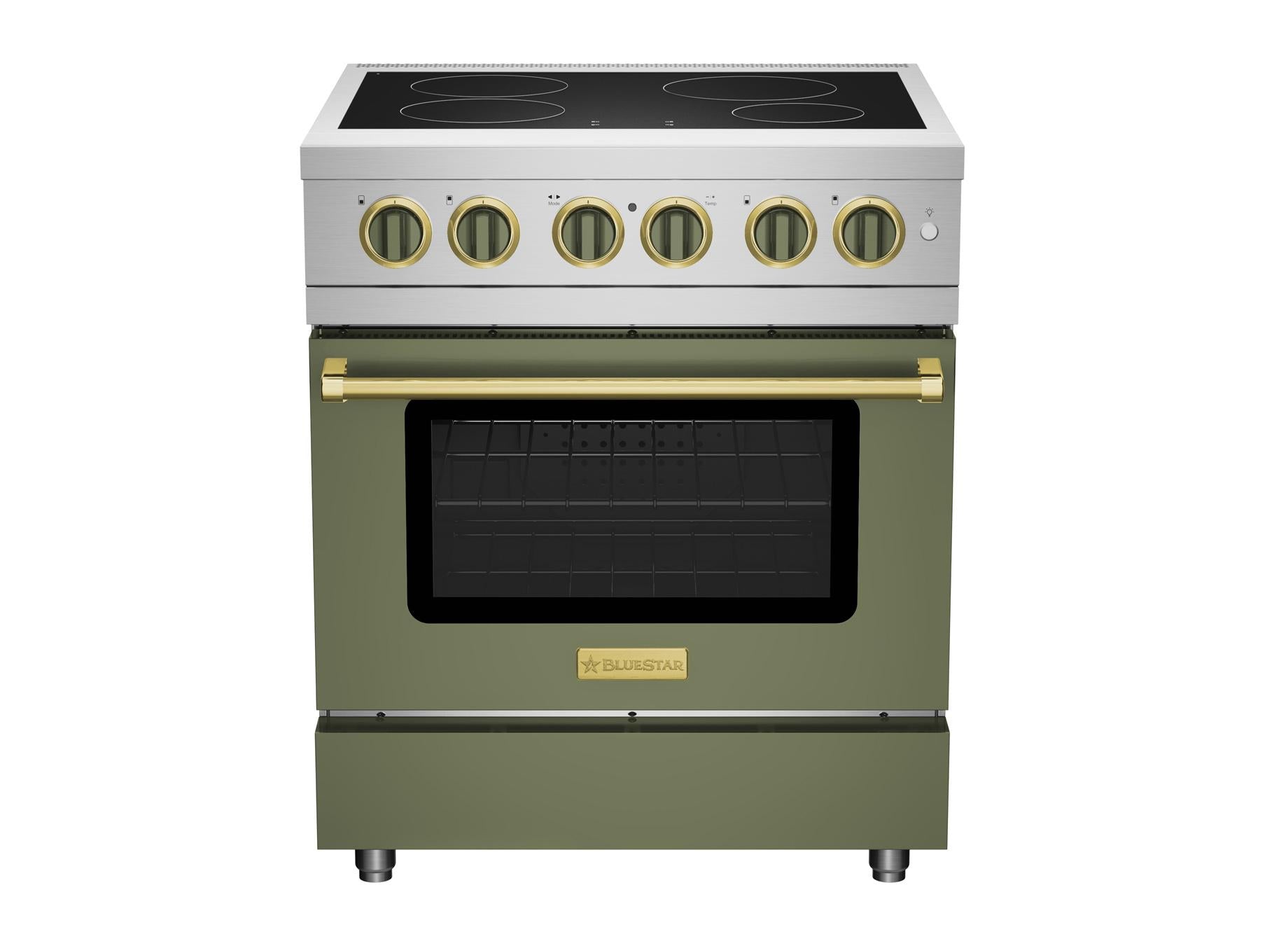 Bluestar BSIR30 30 Inch Induction Range