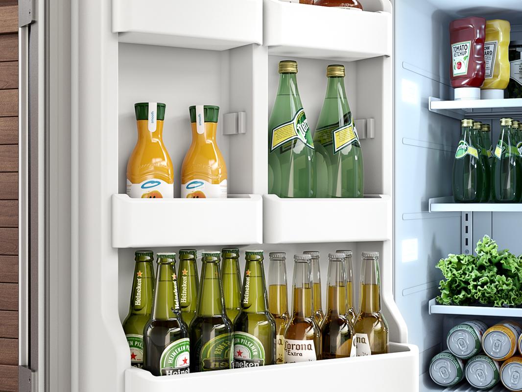 Zephyr PRR24C01ASOD 24" Outdoor Refrigerator