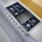 Thermador PCG486WL 48-Inch Professional Rangetop