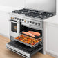 Fisher & Paykel RDV2488NN Dual Fuel Range, 48