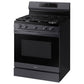 Samsung NX60A6511SG 6.0 Cu. Ft. Smart Freestanding Gas Range With No-Preheat Air Fry & Convection In Black Stainless Steel