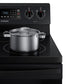 Samsung NE59T4321SB 5.9 Cu. Ft. Freestanding Electric Range With Convection In Black