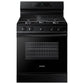 Samsung NX60A6111SB 6.0 Cu. Ft. Smart Freestanding Gas Range With Integrated Griddle In Black