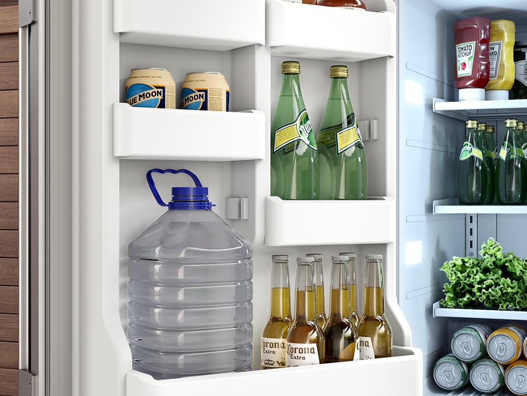 Zephyr PRR24C01ASOD 24" Outdoor Refrigerator