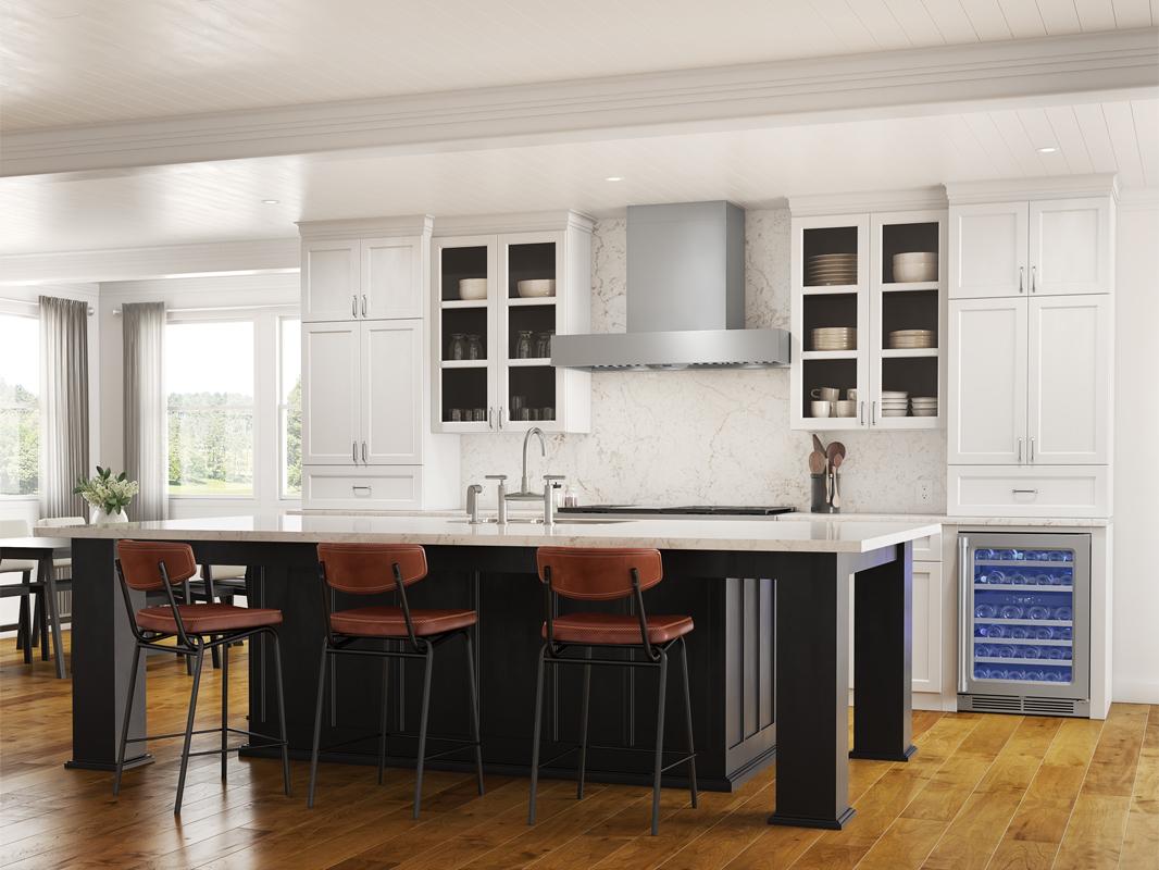 Zephyr ZRPE48BS 48" Roma Pro Wall