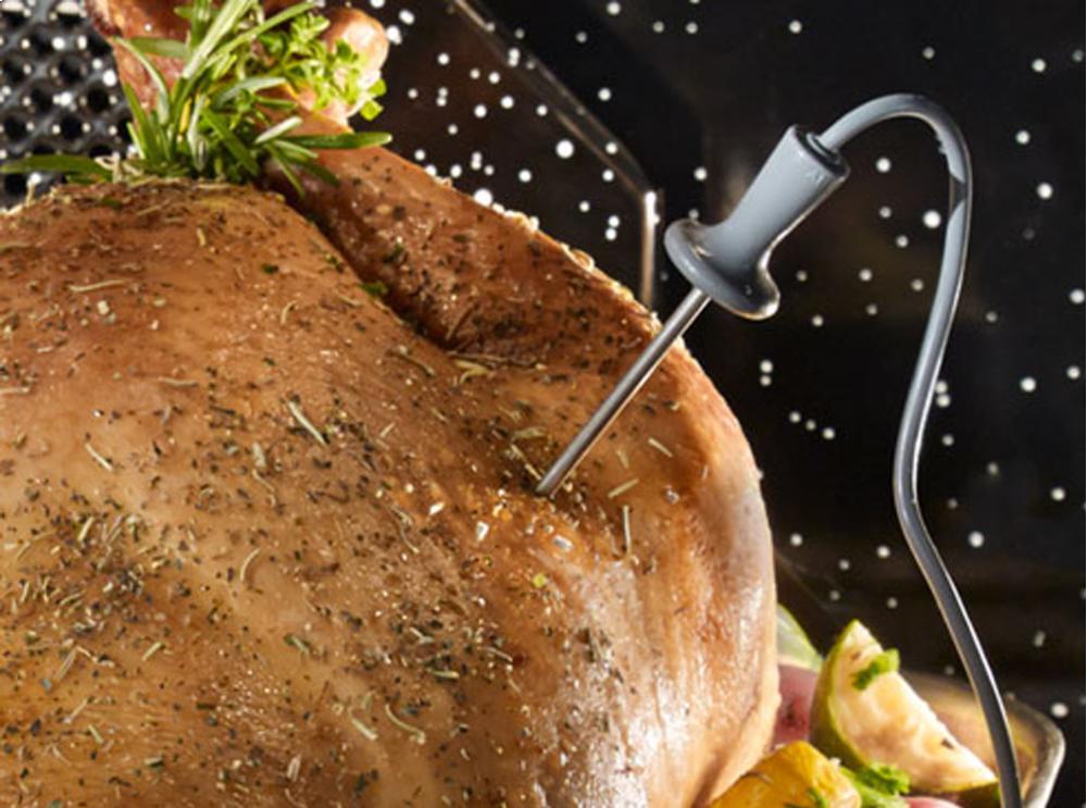 Bluestar BSDEWO30DDV2 30" Double Electric Wall Oven With Drop Down Doors