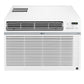 Lg LW1821ERSM 18,000 Btu Smart Wi-Fi Enabled Window Air Conditioner