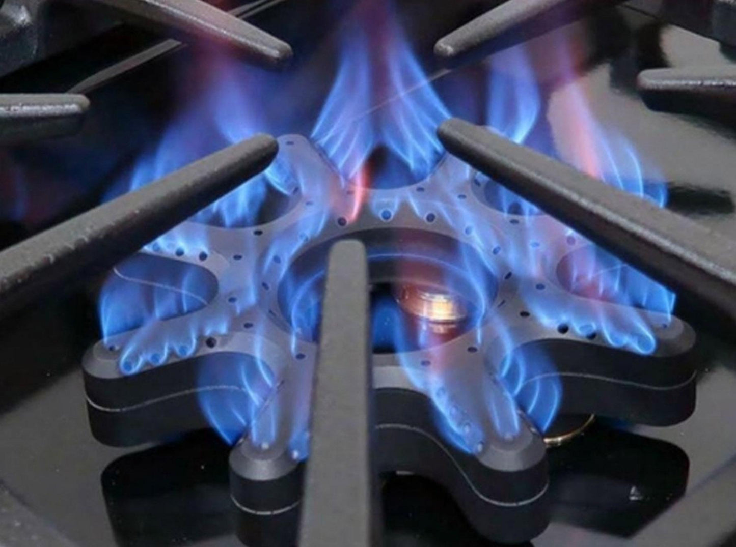 Bluestar BSDF488B 48" Dual Fuel Range