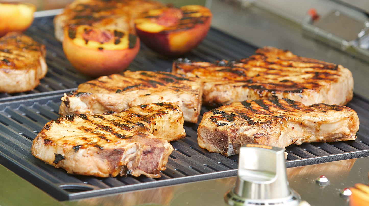 Kenyon B70426 Texan Electric Grill