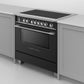 Fisher & Paykel OR36SCI6B1 Induction Range, 36