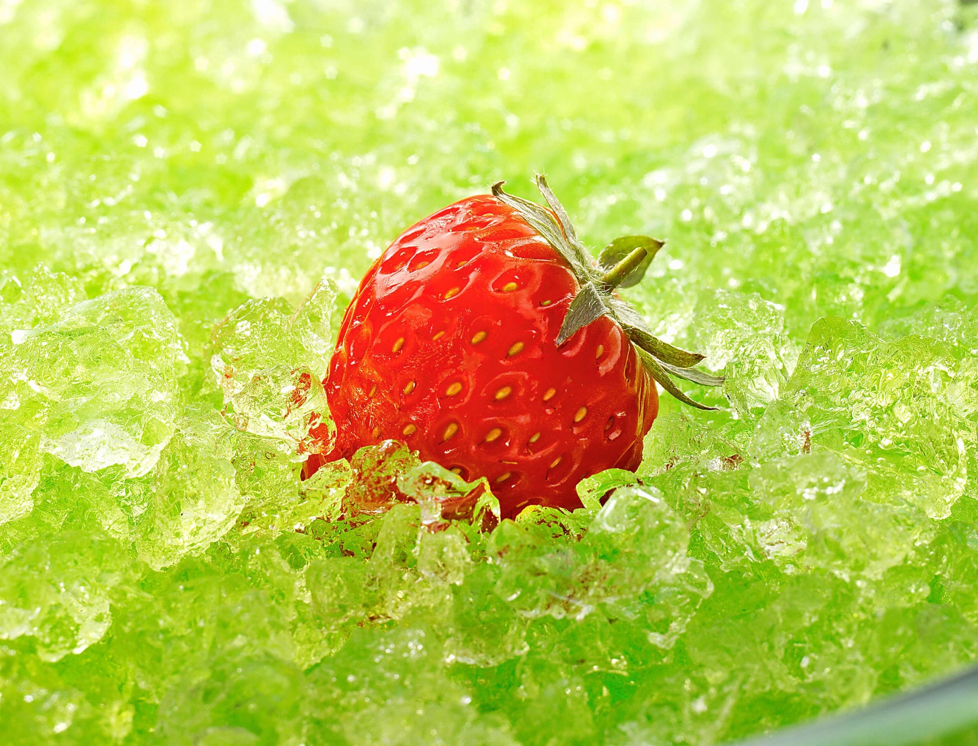 Xo Appliance XOUIM1585NOA 15 In Nugget Ice Maker Panel Ready Ada Height