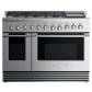 Fisher & Paykel RDV2486GDNN Dual Fuel Range, 48