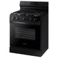 Samsung NX60A6111SB 6.0 Cu. Ft. Smart Freestanding Gas Range With Integrated Griddle In Black