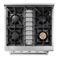 Thor Kitchen HRG3080ULP 30 Inch Professional Gas Range In Stainless Steel - Liquid Propane
