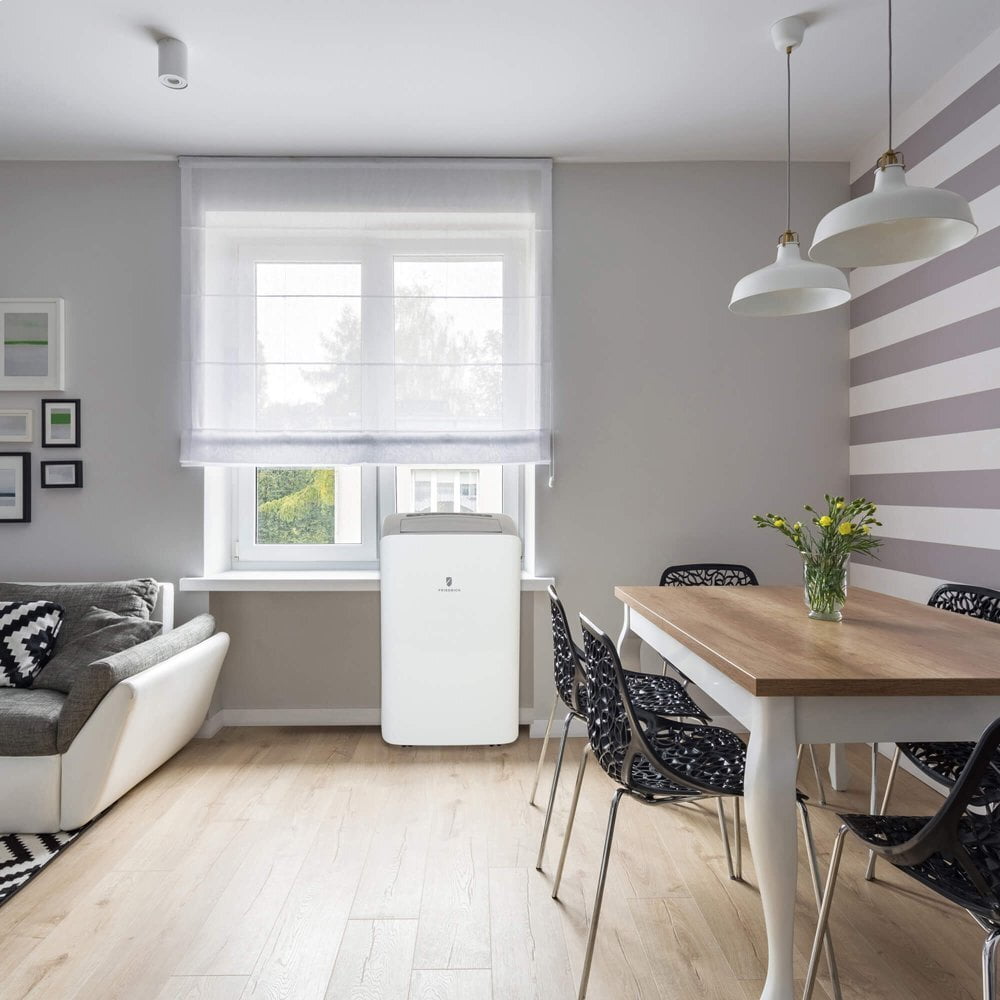 Friedrich ZHP14DB Zoneaire Zhp14Db