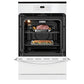Frigidaire FFGW2426UW Frigidaire 24'' Single Gas Wall Oven
