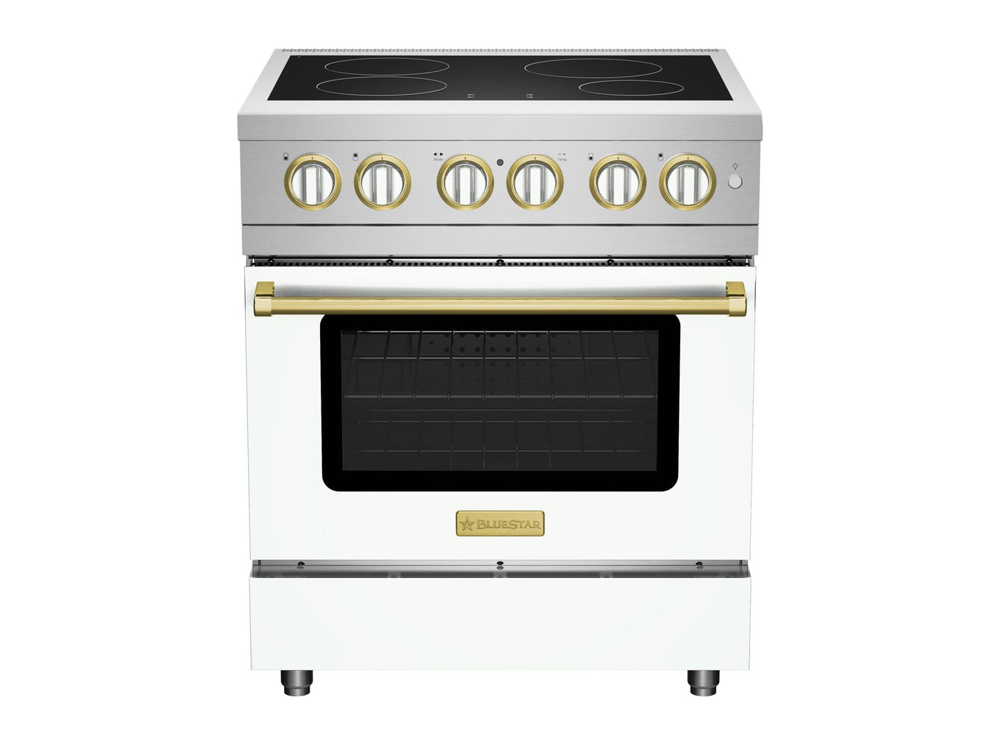 Bluestar BSIR30 30 Inch Induction Range