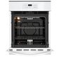 Frigidaire FFEW2426UW Frigidaire 24'' Single Electric Wall Oven