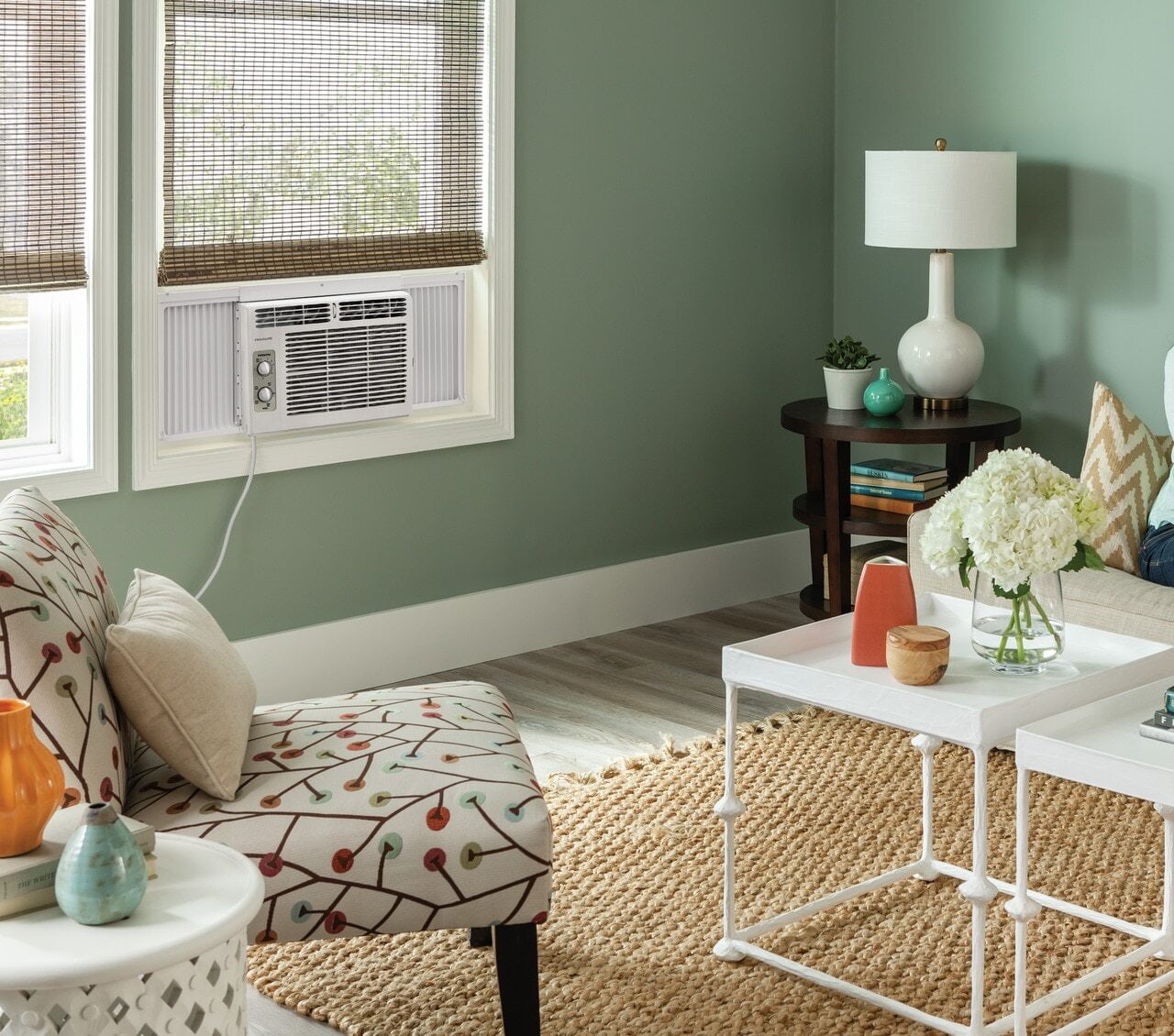 Frigidaire FFRA051WAE Frigidaire 5,000 Btu Window-Mounted Room Air Conditioner