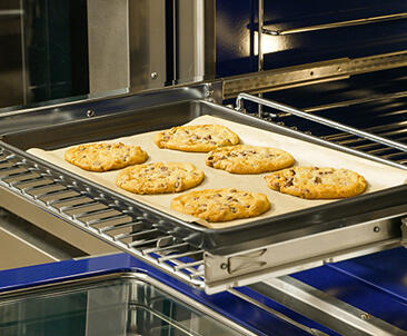 Thor Kitchen TR30SS 30 Inch Telescopic Rack For Professional Ranges