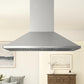 Zephyr ZSLE42CS 42