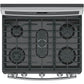 Ge Appliances P2B940SEJSS Ge Profile™ 30