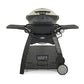 Weber 57067001 Q™ 3200™ Natural Gas Grill - Titanium