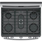 Ge Appliances PGB960SEJSS Ge Profile™ 30