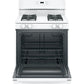 Ge Appliances JGBS60DEKWW Ge® 30