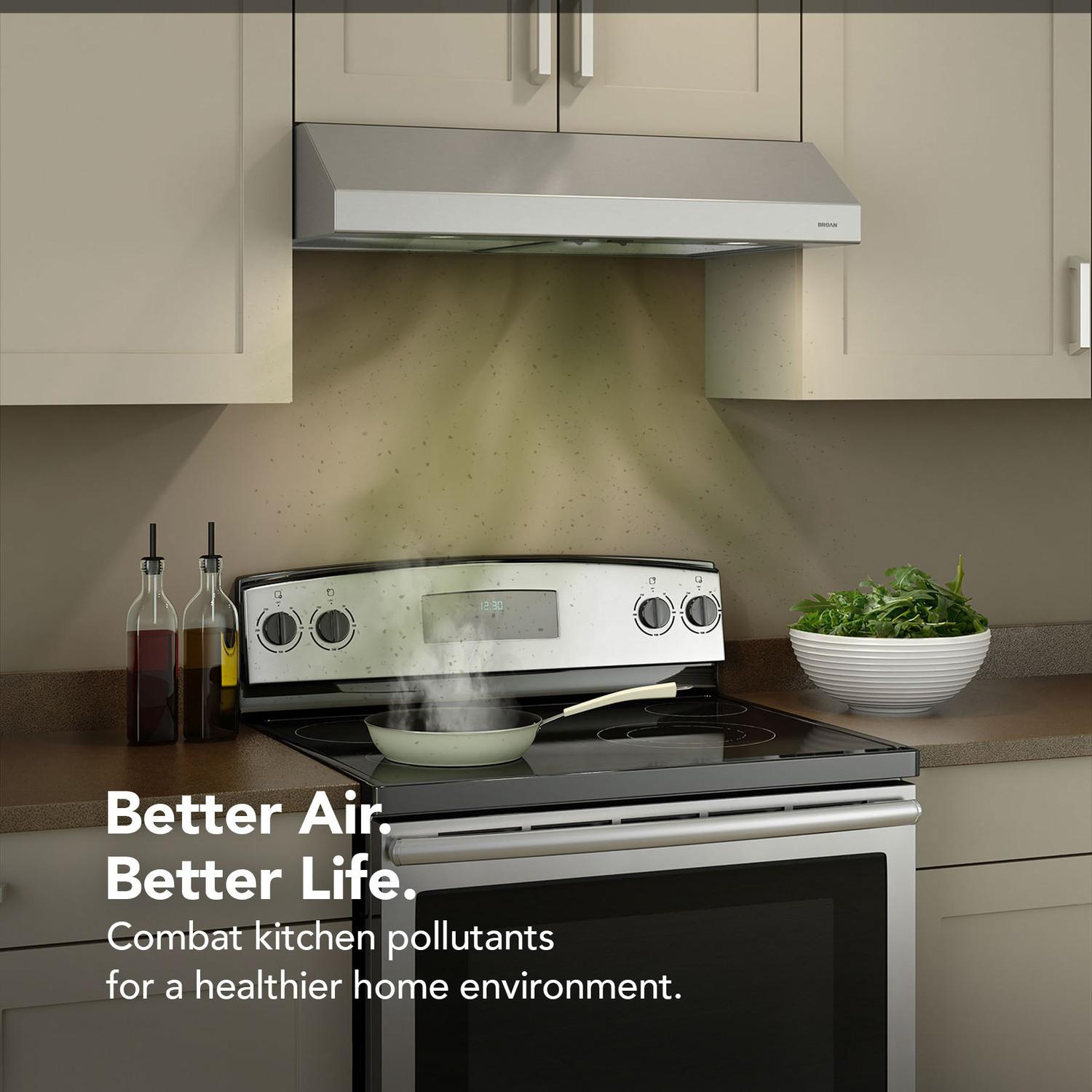 Broan BCSD142SS Glacier 42-Inch 300 Max Blower Cfm Sones Stainless Steel Range Hood