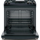 Ge Appliances JGSS66FELDS Ge® 30